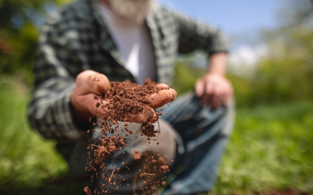 Good Soil : protéger la qualité du sol pour améliorer le cadre de vie des Bruxellois