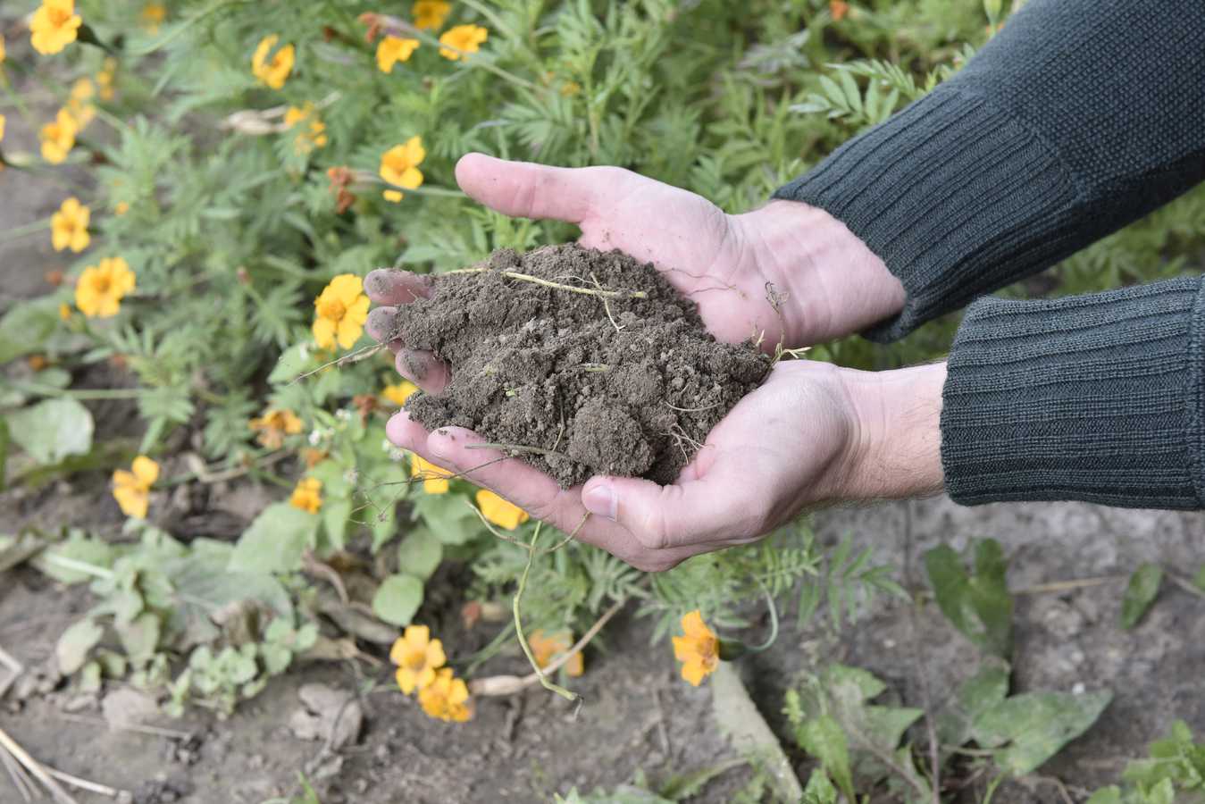 Chantier Geodata Bruxelles Environnement